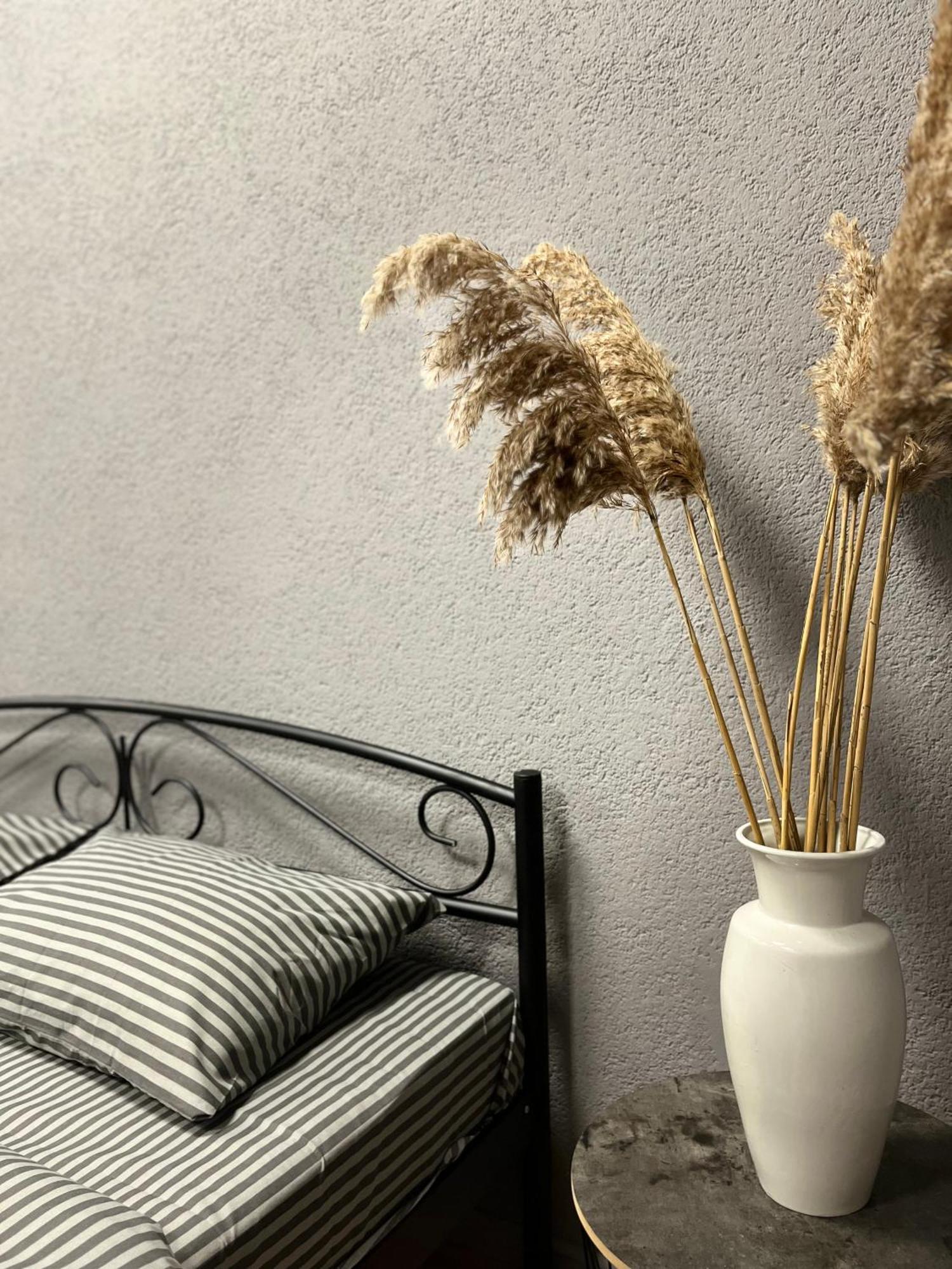 Medova Apartments إلفيف المظهر الخارجي الصورة